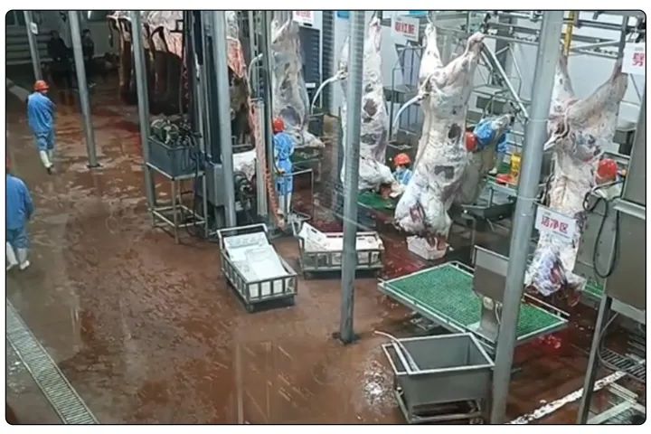 屠宰工廠惡臭影響周邊，使用除臭劑有什么注意要點？