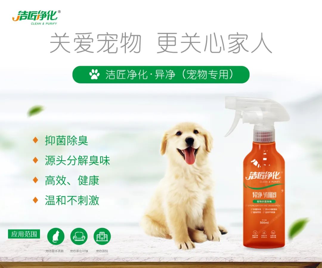 寵物氣味彌漫整個(gè)屋子,潔匠凈化教您如何除味 寵物氣味彌漫整個(gè)屋子,潔匠凈化教您如何除味